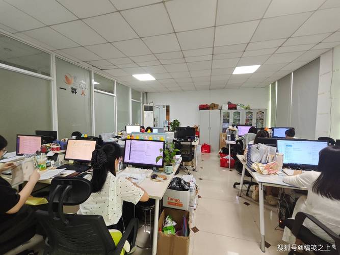 廣州瑞森企業管理咨詢:深耕本土財稅服務,扎實護航中小微企業發展